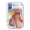 Staedtler 175 M36 - Farveblyanter i metalboks